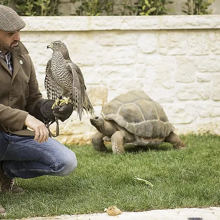 La Corte Dell'astore - Trulli Diffusi Nel Centro Storico Di 3* Alberobello