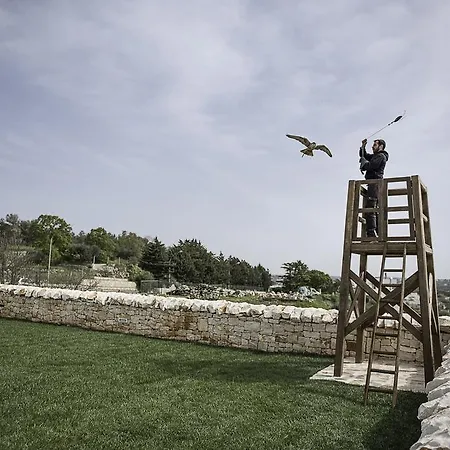 La Corte Dell'astore - Trulli Diffusi Nel Centro Storico Di Üdülőközpont Alberobello